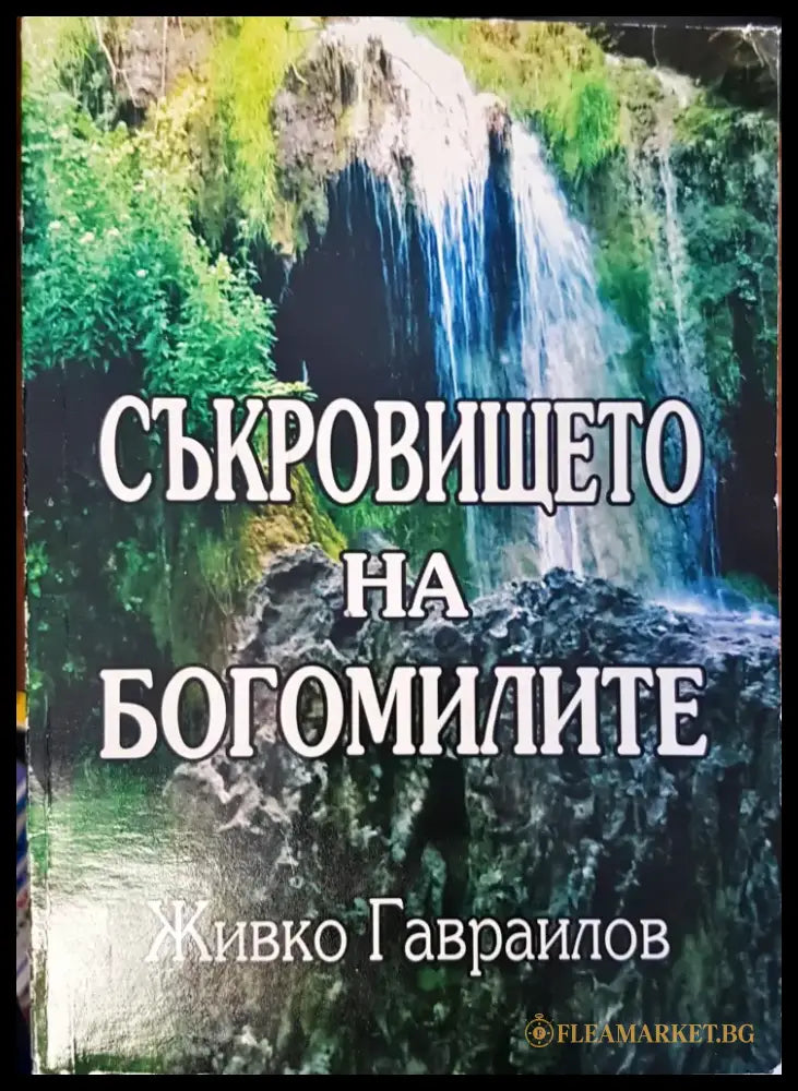 Съкровището на богомилите - Книги