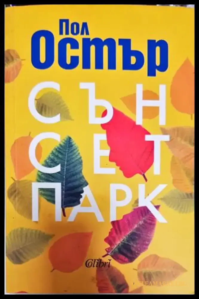 Сън сет парк - Книга