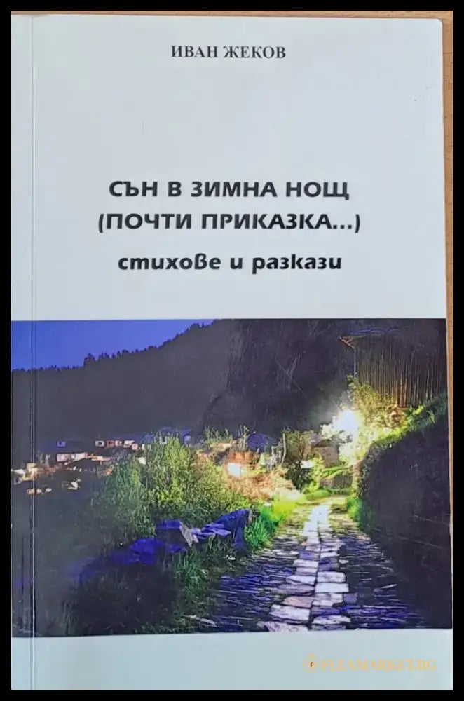 Сън в зимна нощ (почти приказка...) - Книги