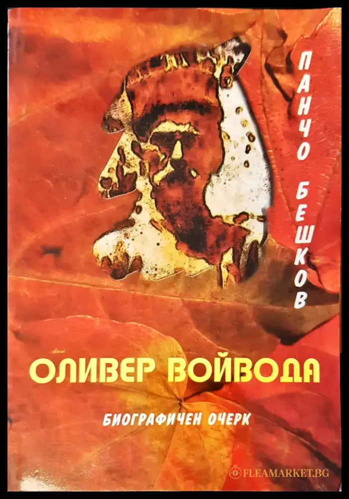 Сънят на сенките - Книги