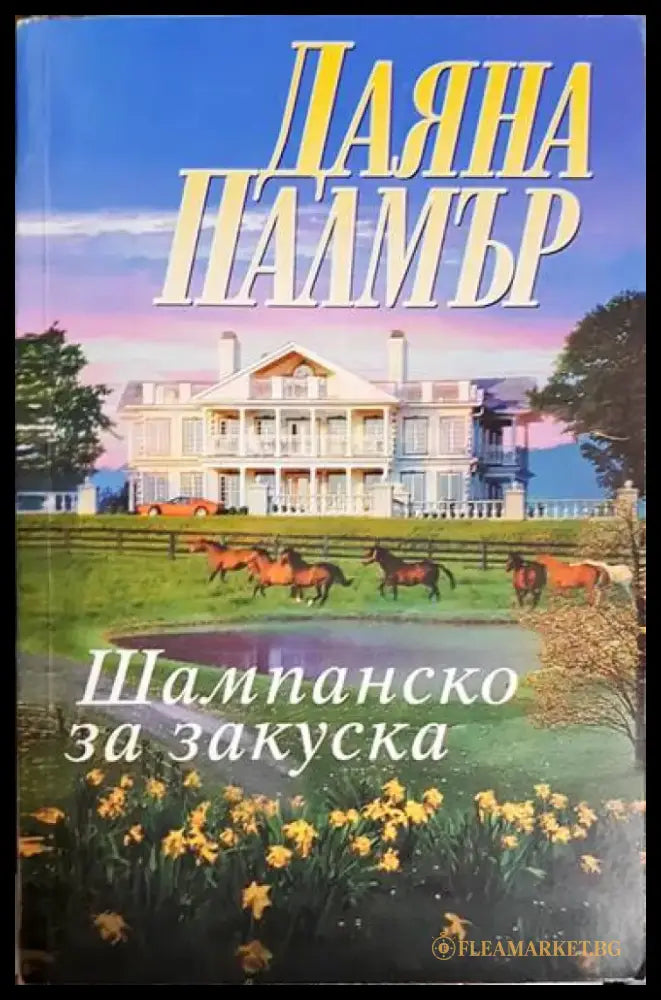 Шампанско за закуска - Книга
