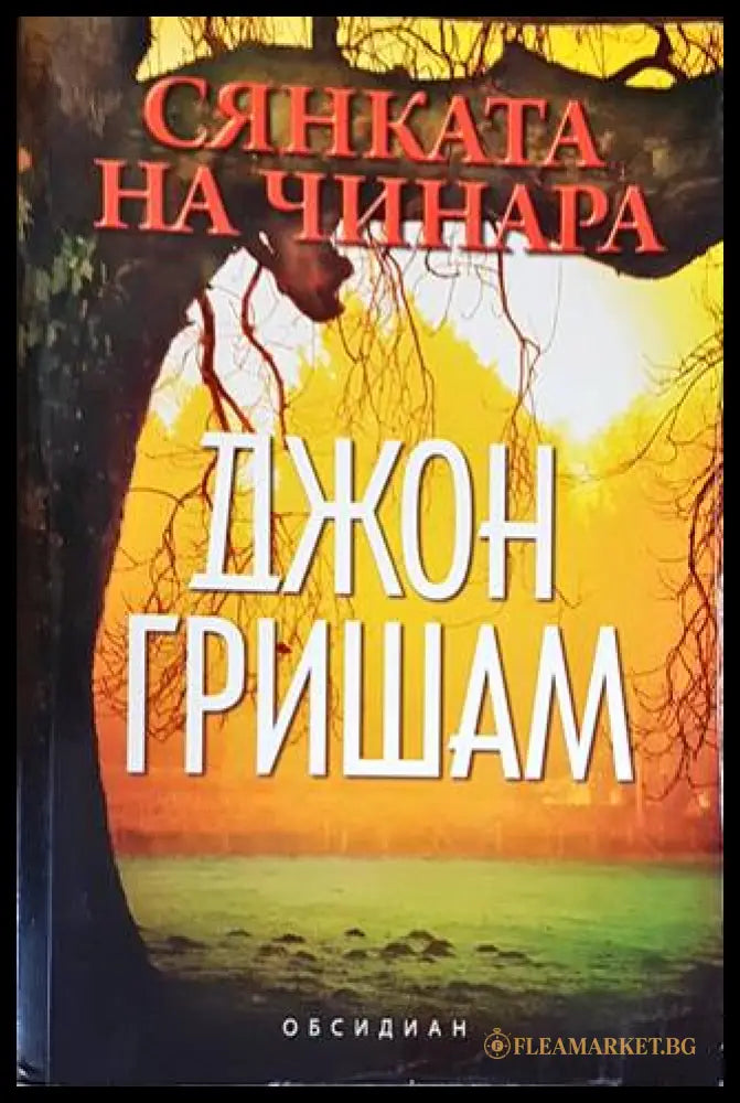 Сянката на чинара (09160 167349) - Джон Гришам - Книга
