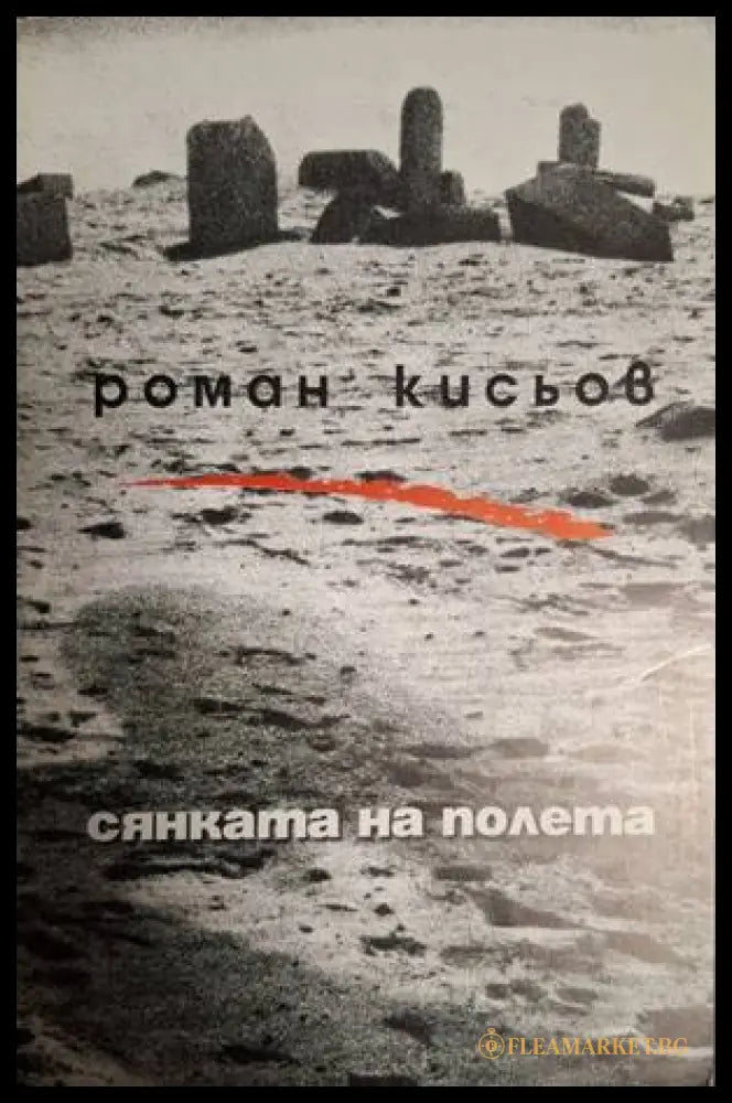 Сянката на полета – Роман Кисьов