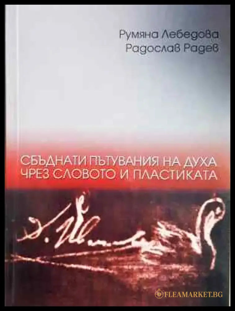 Сбъднати пътувания на духа чрез словото и пластиката - Румяна Лебедова Радослав Радев - Книга