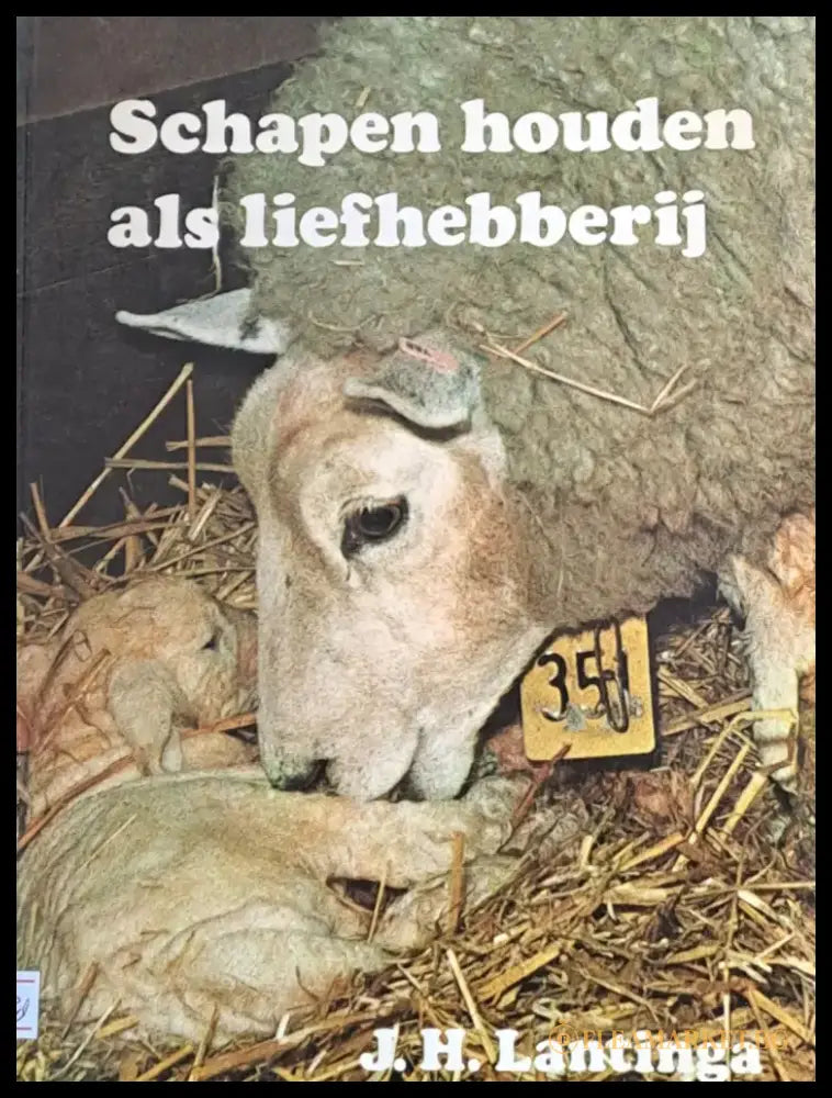 Schapen houden als liefhebberij - Книги