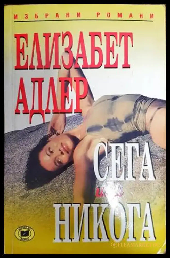 Сега или никога (1057) - Книга