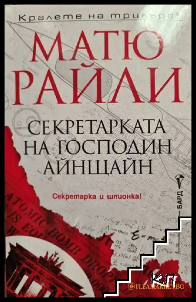 Секретарката на господин Айнщайн - Матю Райли