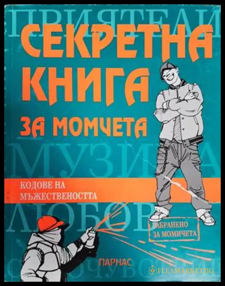 Секретна книга за момчета - Книги
