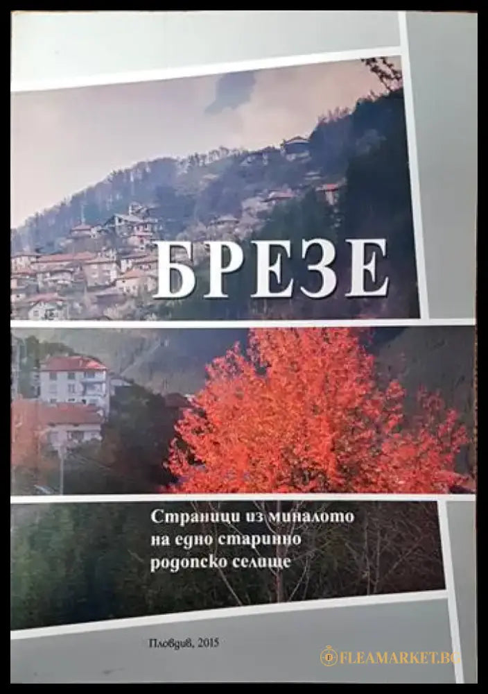 Село Брезе и неговите храмове - Книги