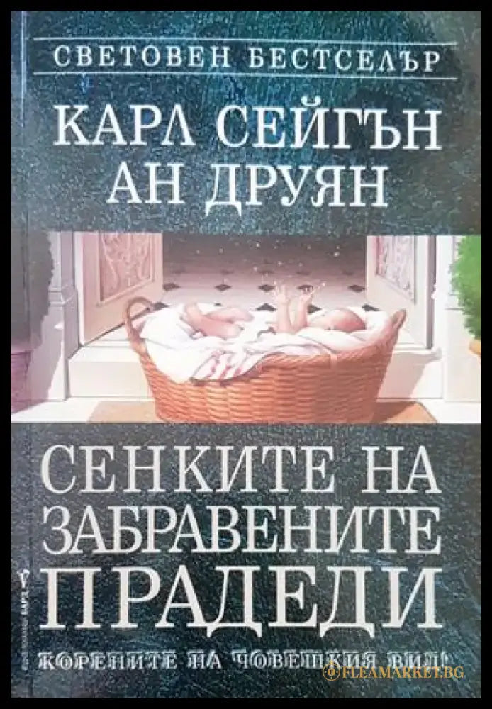 Сенките на забравените прадеди - Книги