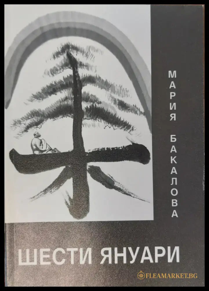 Шести Януари - Книги