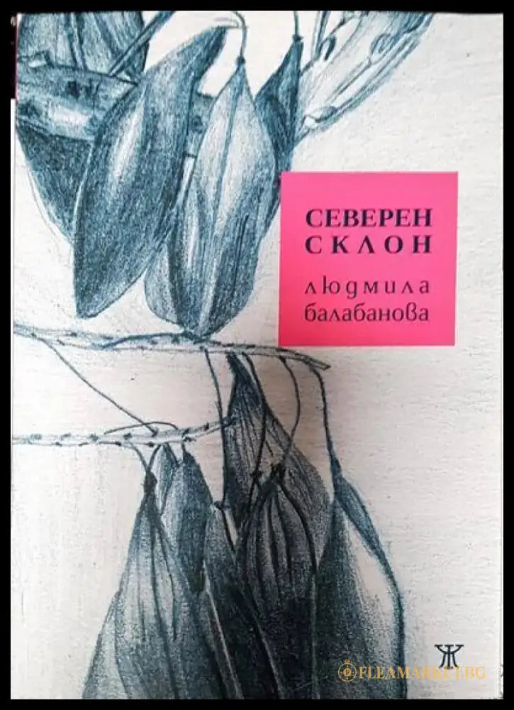Северен склон - Книги