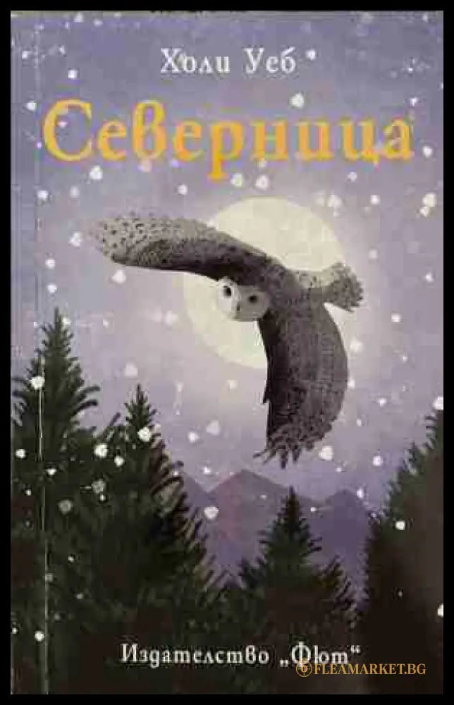Северница (171309261223) - Холи Уеб - Книга