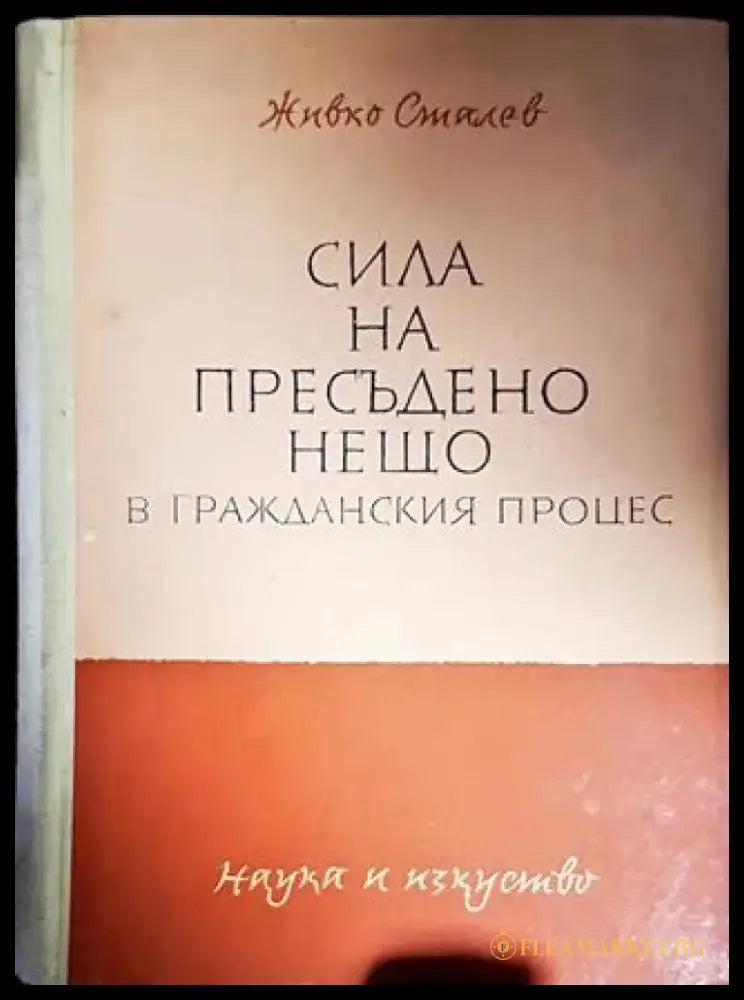 Сила на пресъдено нещо в гражданския процес (1293) - Книга