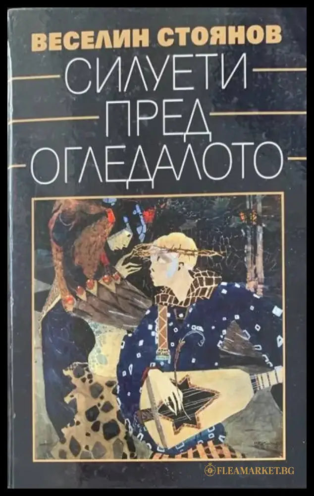 Силуети пред огледалото (16) - Книга