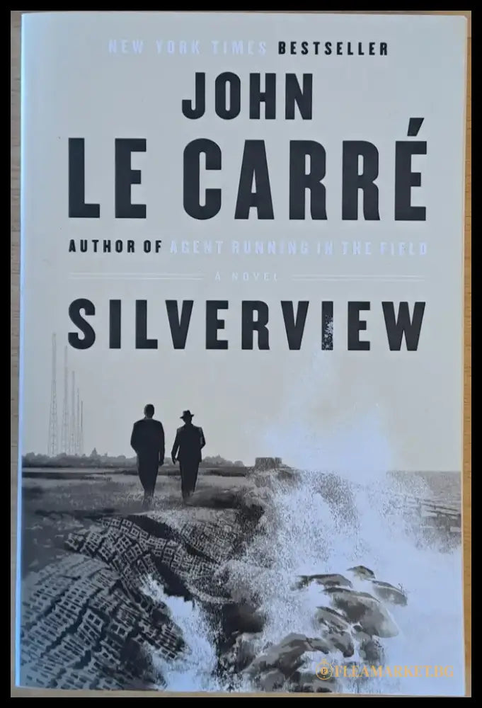 Silverview - Книги