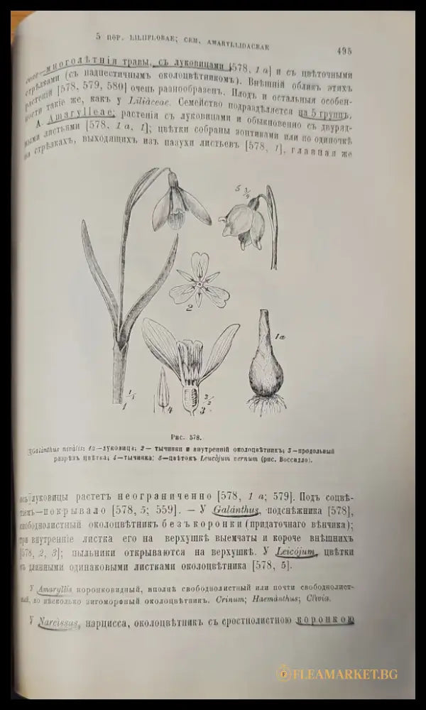 Систематика растений. Част 1 (146) - Книга