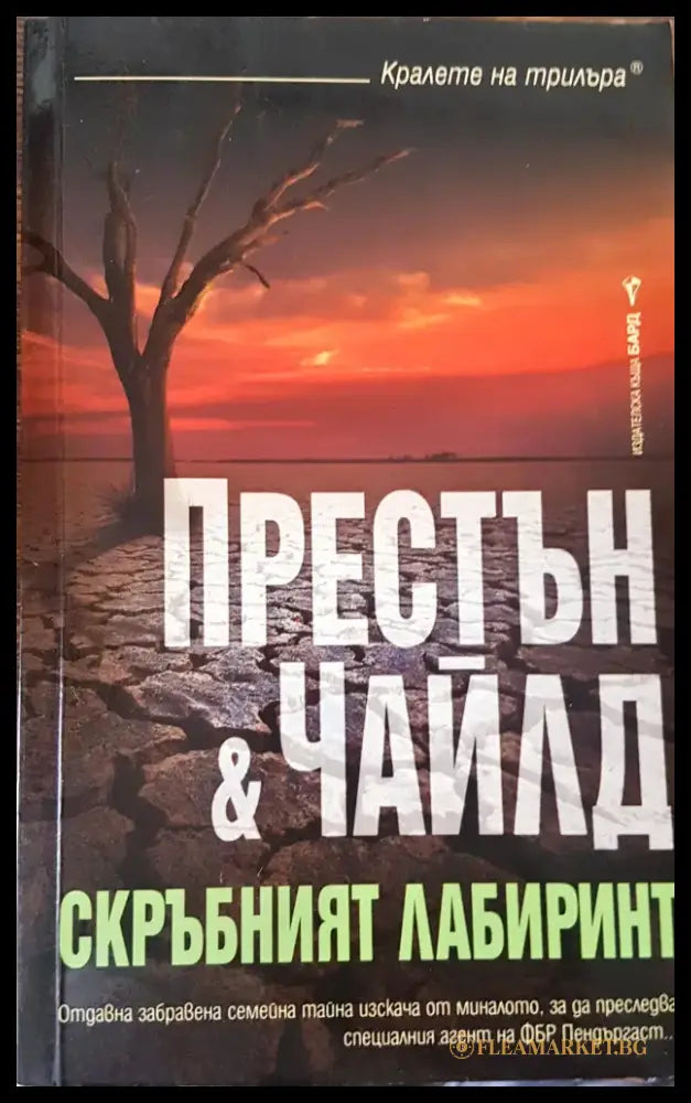 Скръбният лабиринт - Книги