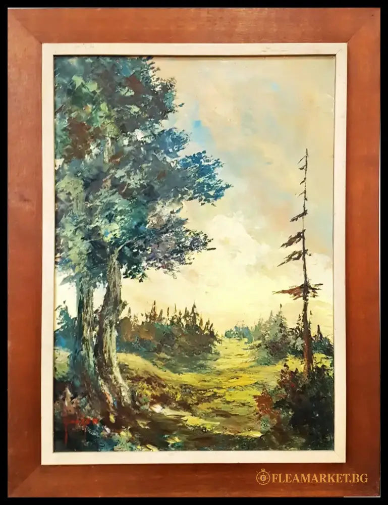 Слънчев горски пейзаж- масло от Cvancen (1194) - Картина