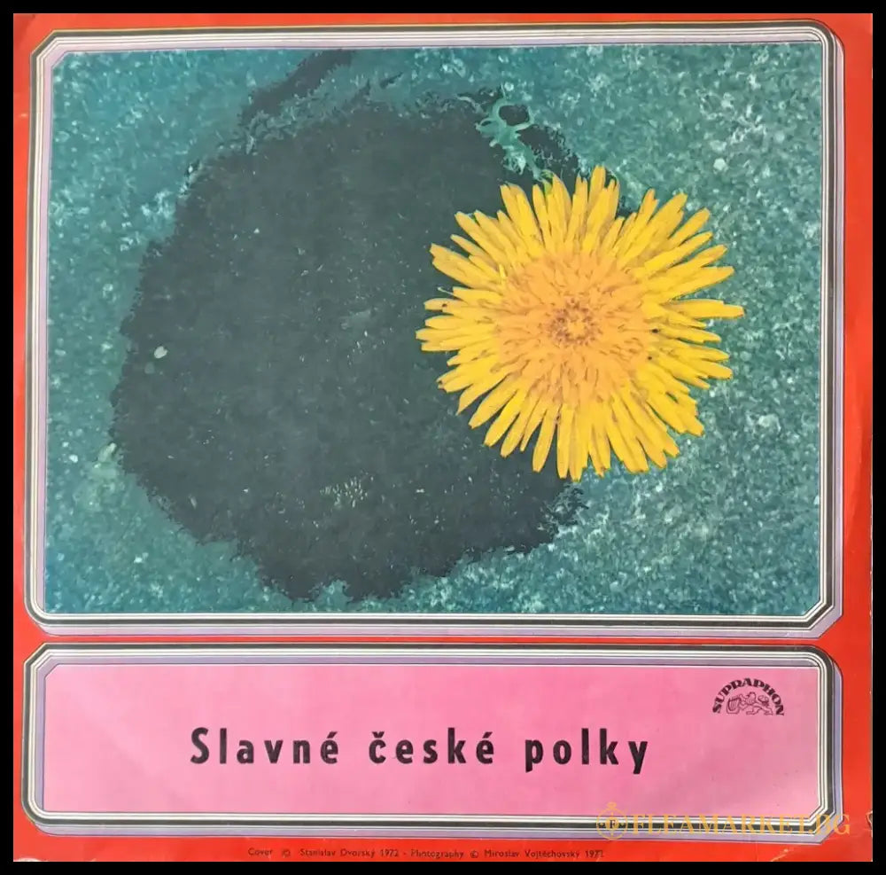 Slavne ceske polky - antique