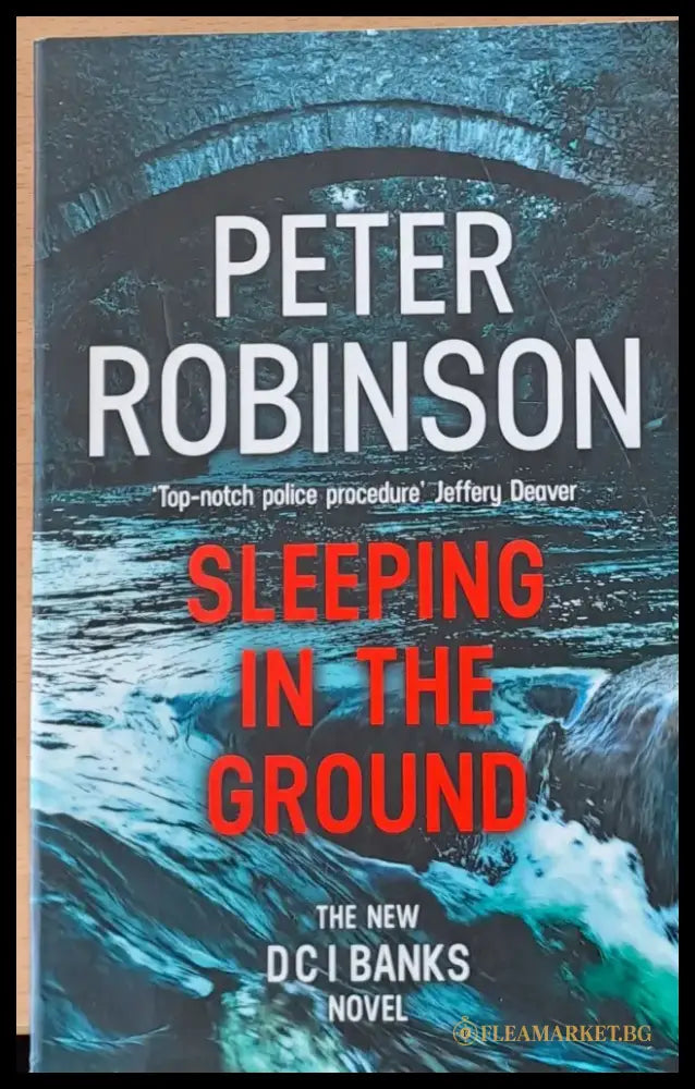 Sleeping in the ground - Книги