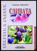 Сливата - Симеон Лъвински
