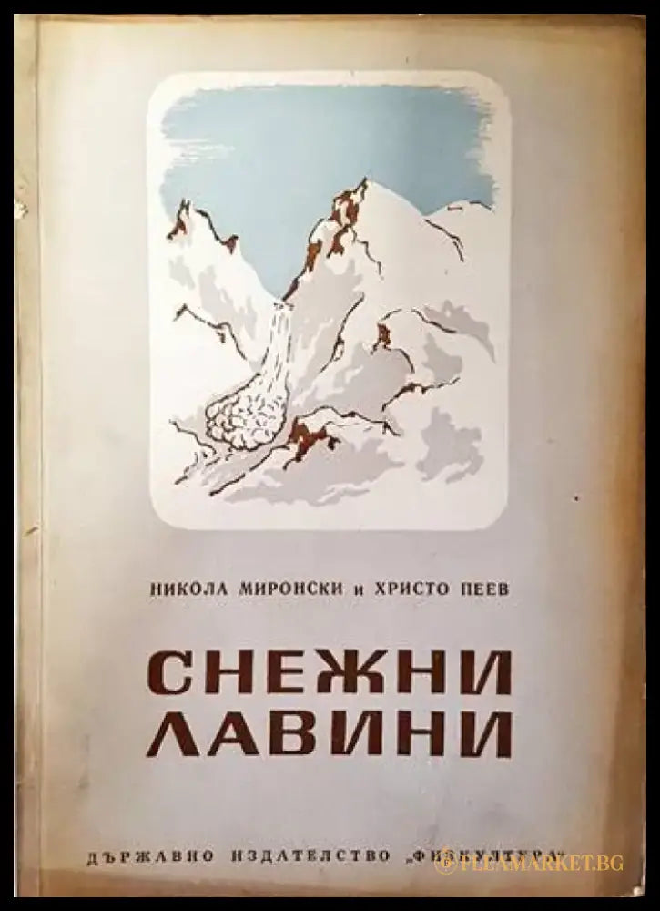 Снежни лавини - Книги