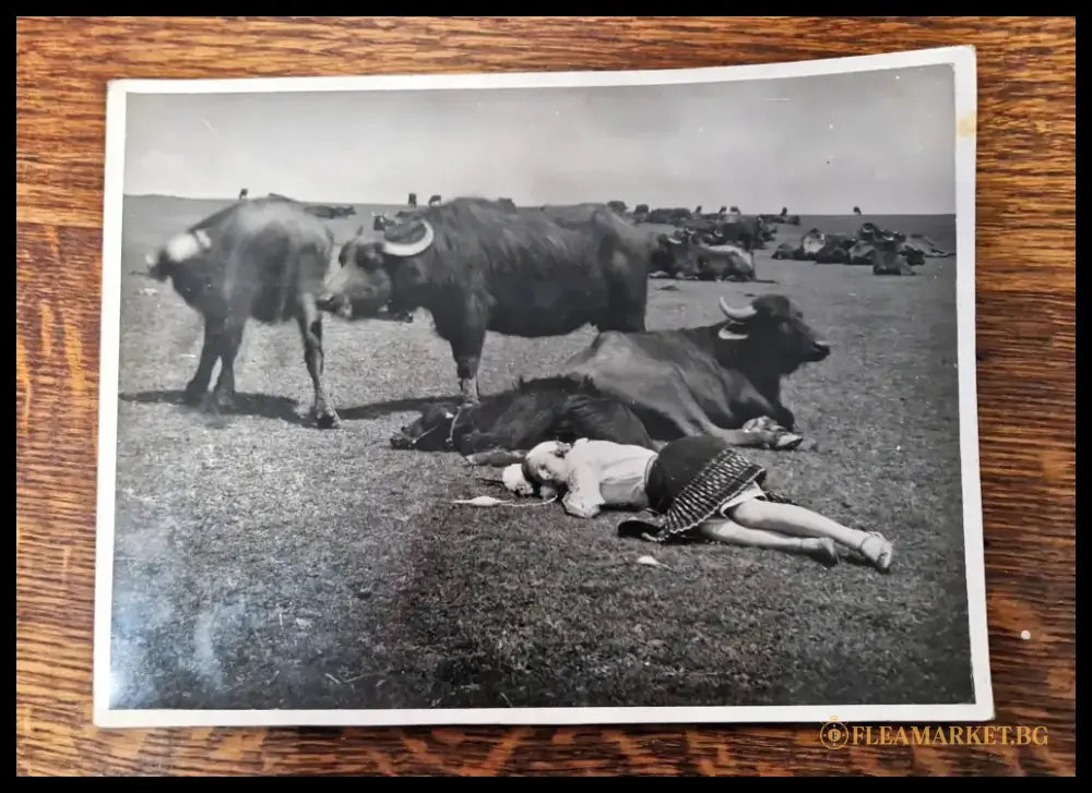 Снимка - Невена Дочева 1933 (27)