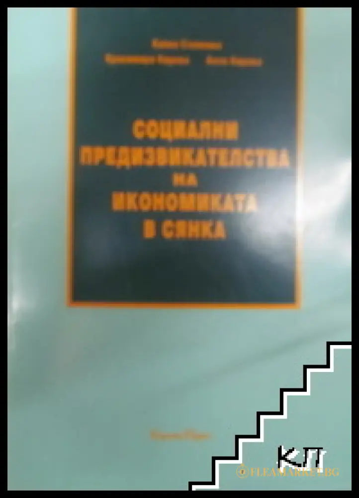 Социални предизвикателства на икономиката в сянка