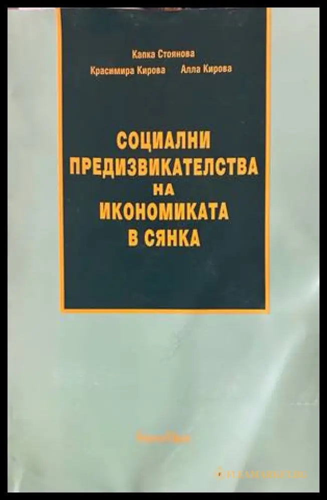 Социални предизвикателства на икономиката в сянка