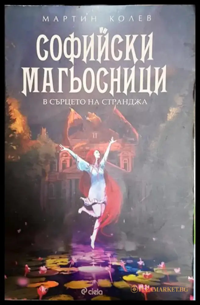 Софийски магьосници. Книга 2: В сърцето на Странджа - Книга