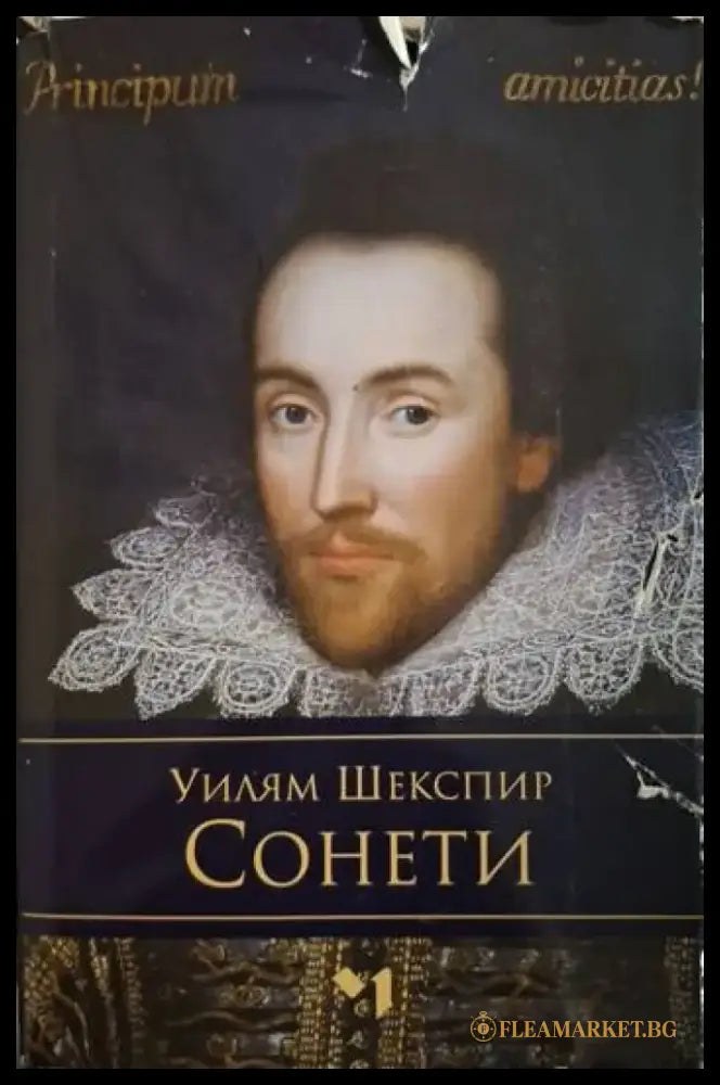 Сонети (1299) - Книга