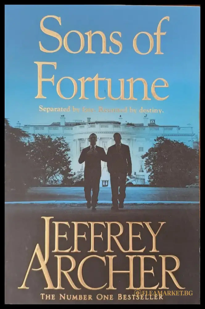 Sons of Fortune - Книги