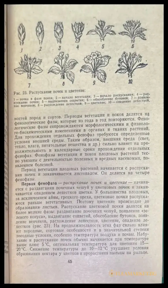 Советы по ведению приусадебного хозяйства - Книги