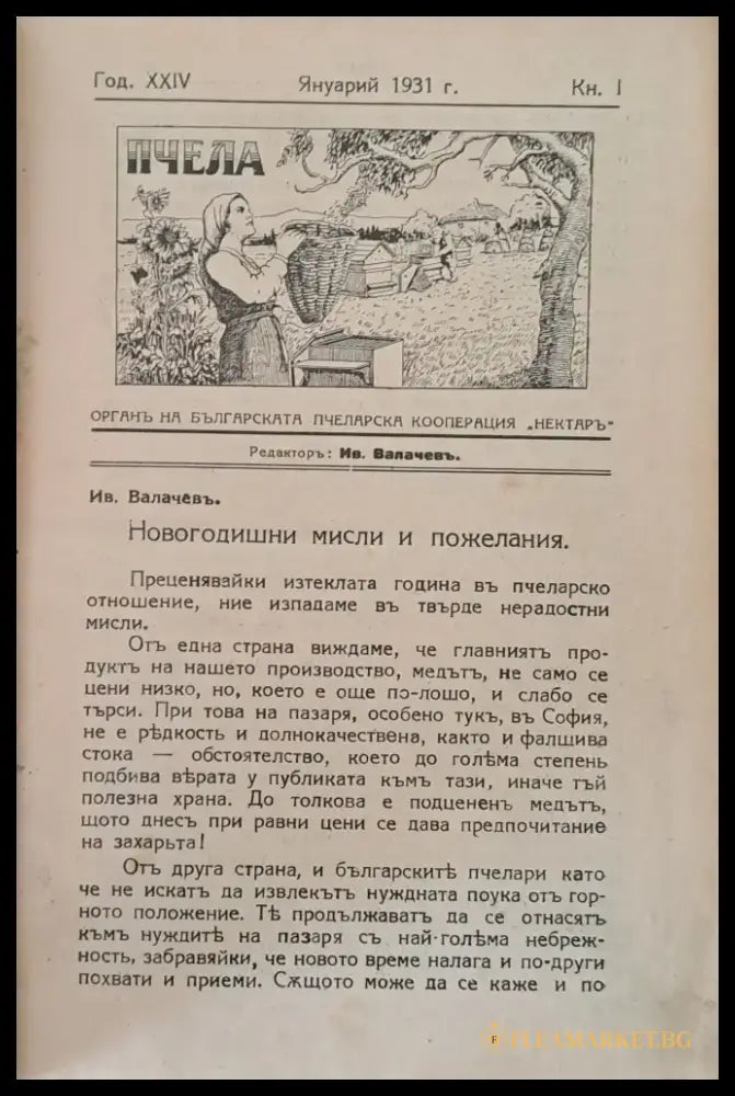 Списание ’Пчела’ година ХХІV-1931 - кн. І - XII. - Книги