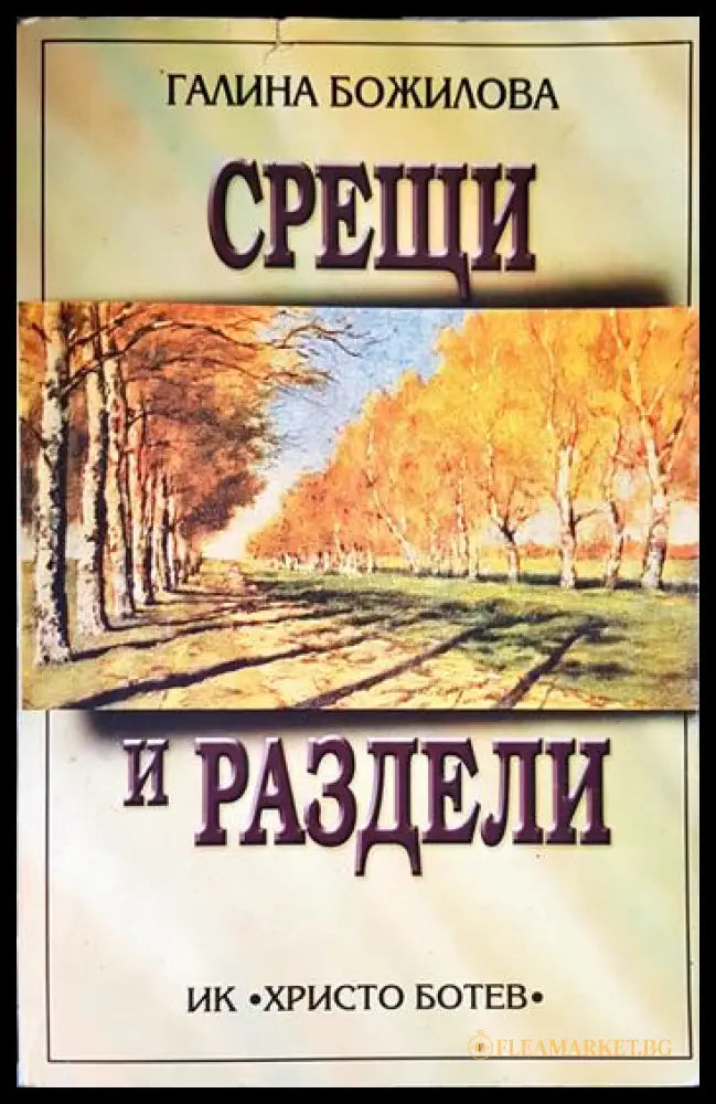 Срещи и раздели (27260526170300) - Галина Божилова - Книга