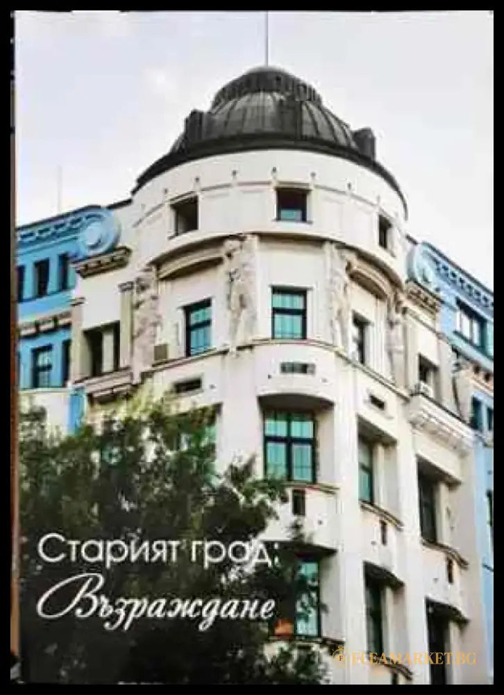 Старият град: Възраждане (847) - Книга