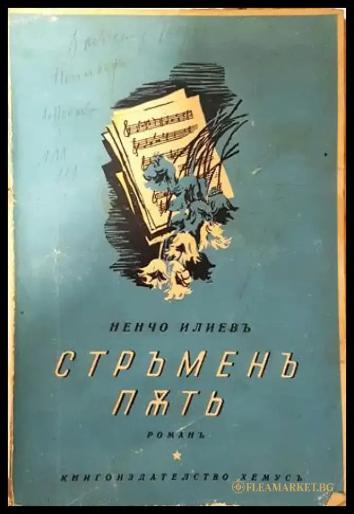 Стръменъ пъть - Ненчо Илиевъ - Книга