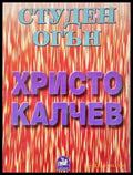 Студен огън - Книга