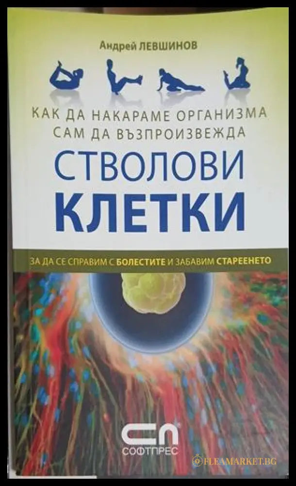 Стволови клетки - Андрей Левшинов