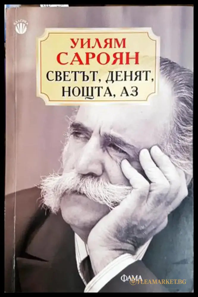 Светът денят нощта аз (3810) - Книга