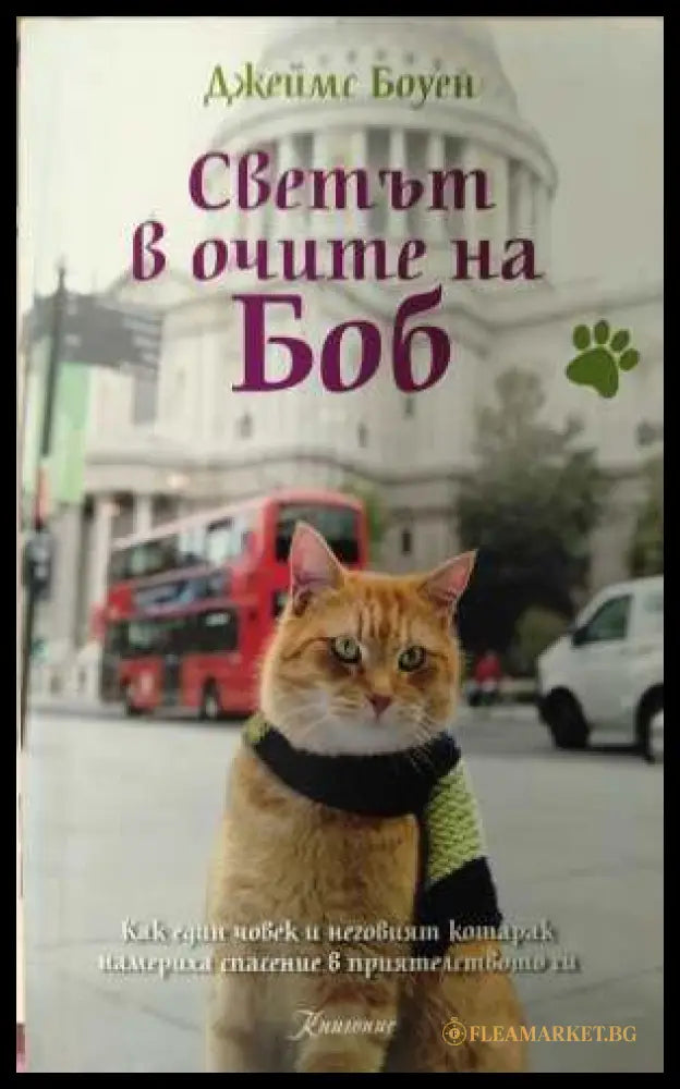 Светът в очите на Боб - корица