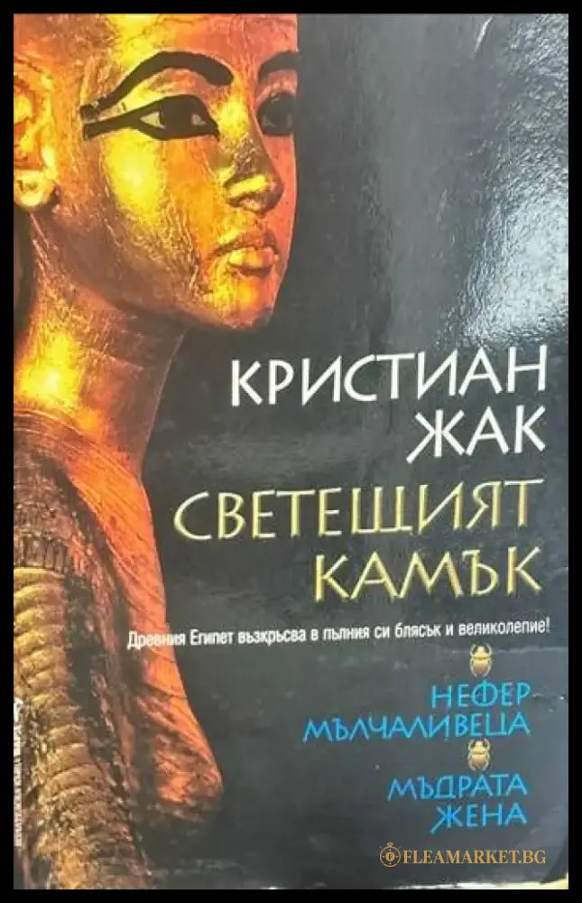 Светещият камък. Книга 1-2 - Книги