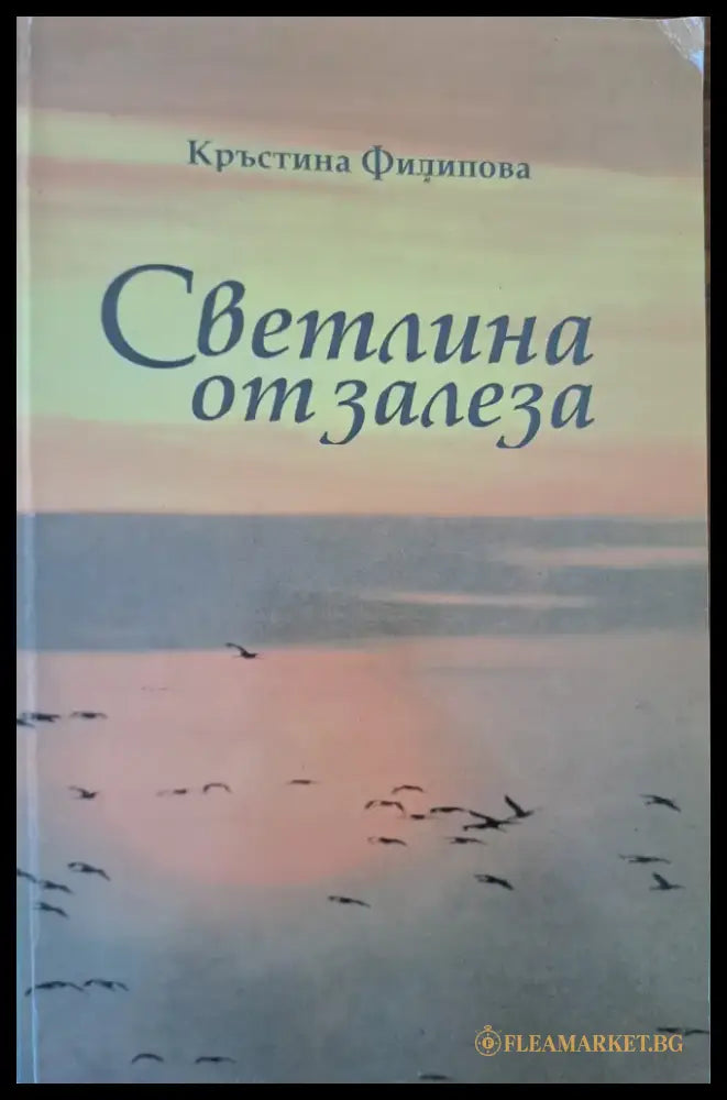 Светлина от залеза - Книги