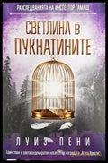 Светлина в пукнатините - Книга