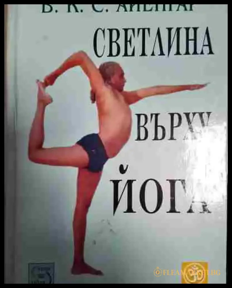 Светлина върху йога - Книга