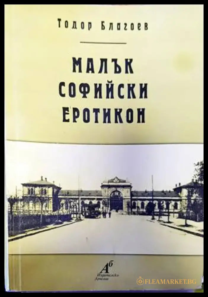 Тайната в очите им (1445) - Книга