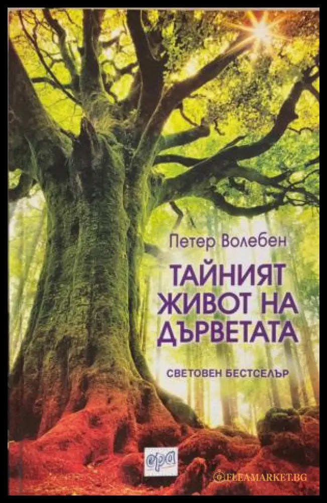 Тайният живот на дърветата