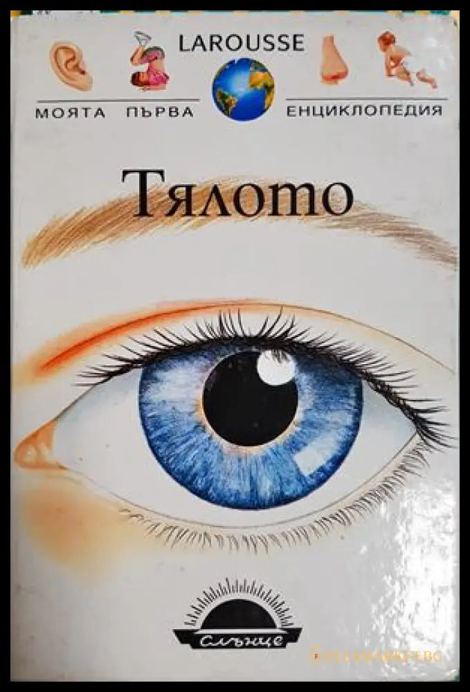 Тялото (332506261952) - Даниел Брьон Франсоа Бернар - Книга