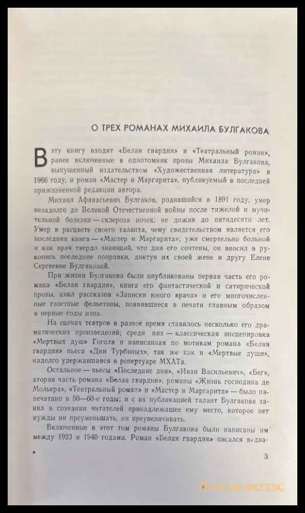 Театральный роман. Мастер и Маргарита - Книги